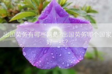 出国劳务有哪些网站?出国劳务哪个国家好一些?
