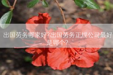 出国劳务哪家好?出国劳务正规公司最好是哪个?