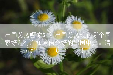 出国劳务哪家好？出国劳务现在哪个国家好？有谁知道信誉好的出国中介。请介绍一下，谢了！！！？