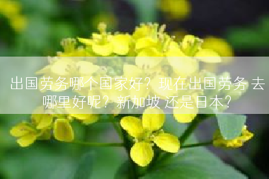 出国劳务哪个国家好？现在出国劳务 去哪里好呢？新加坡 还是日本？