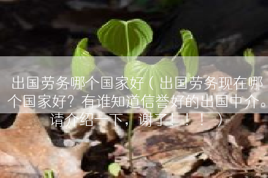 出国劳务哪个国家好（出国劳务现在哪个国家好？有谁知道信誉好的出国中介。请介绍一下，谢了！！！）