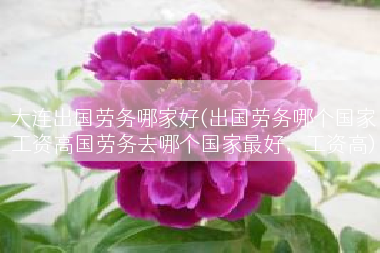 大连出国劳务哪家好(出国劳务哪个国家工资高国劳务去哪个国家最好，工资高)