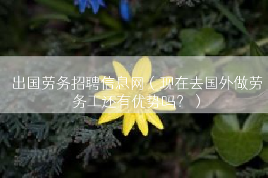 出国劳务招聘信息网（现在去国外做劳务工还有优势吗？）