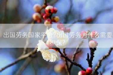 出国劳务国家平台?出国劳务为什么需要担保?