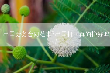 出国劳务合同范本?出国打工真的挣钱吗?