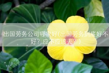 出国劳务公司哪家好(出国劳务到底好不好？应不应该去？)