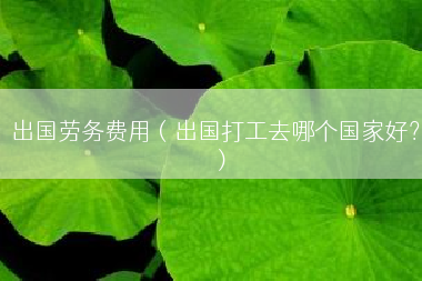 出国劳务费用（出国打工去哪个国家好？）