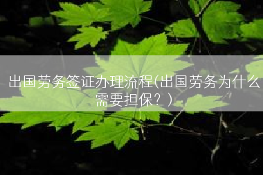 出国劳务签证办理流程(出国劳务为什么需要担保？)