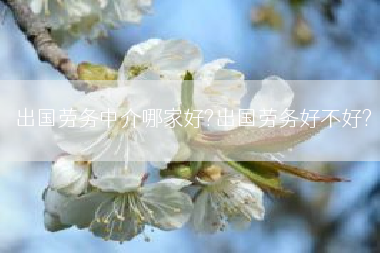 出国劳务中介哪家好?出国劳务好不好?