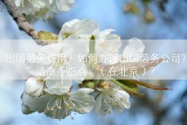 出国劳务费用？如何办理出国劳务公司？请高手指点。（在北京）？