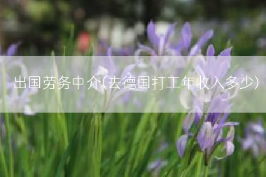 出国劳务中介(去德国打工年收入多少)