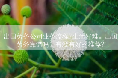 出国劳务公司业务流程?生活好难。出国劳务靠谱吗。有没有好的推荐?