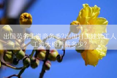 出国劳务工资商务委?出国打工建筑工人工资大概月薪多少?