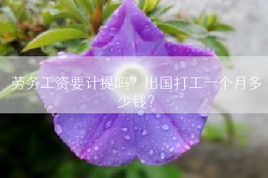劳务工资要计提吗？出国打工一个月多少钱？