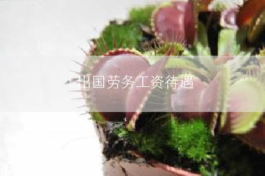 出国劳务工资待遇