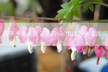 劳务费是农民工工资吗(出国劳务靠谱吗？)