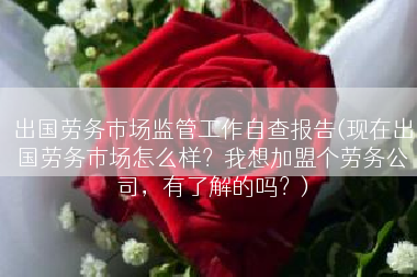 出国劳务市场监管工作自查报告(现在出国劳务市场怎么样？我想加盟个劳务公司，有了解的吗？)