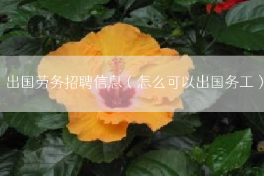 出国劳务招聘信息（怎么可以出国务工）