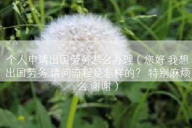 个人申请出国劳务怎么办理（您好 我想出国劳务 请问流程是怎样的？ 特别麻烦么 谢谢）