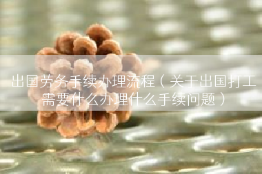 出国劳务手续办理流程（关于出国打工需要什么办理什么手续问题）