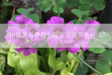 出国劳务费用？现在出国劳务好吗？