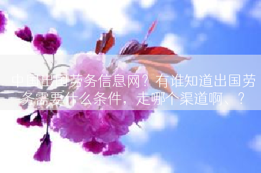 中国出国劳务信息网？有谁知道出国劳务需要什么条件，走哪个渠道啊、？