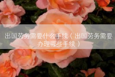 出国劳务需要什么手续（出国劳务需要办理哪些手续）