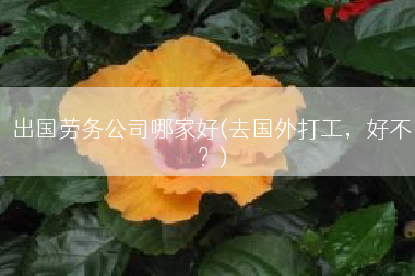 出国劳务公司哪家好(去国外打工，好不？)