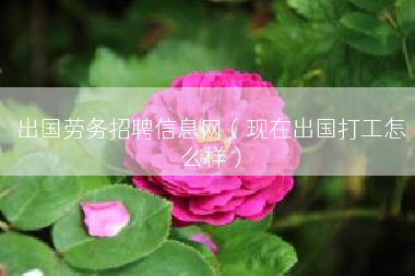 出国劳务招聘信息网（现在出国打工怎么样）