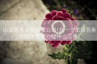 出国劳务正规派遣公司(开一个出国劳务介绍所需要办理什么证件)