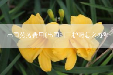 出国劳务费用(出国打工护照怎么办?)