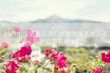 四川出国劳务公司？想要出国工作，正规的公司有哪些？