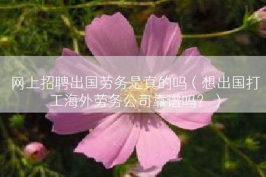 网上招聘出国劳务是真的吗（想出国打工海外劳务公司靠谱吗？）