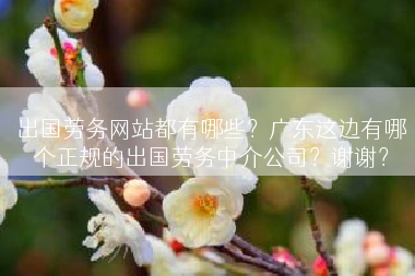 出国劳务网站都有哪些？广东这边有哪个正规的出国劳务中介公司？谢谢？