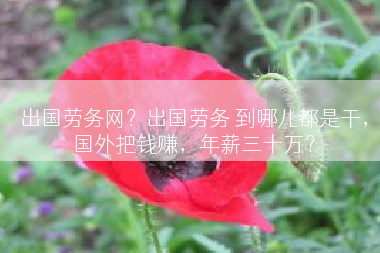出国劳务网？出国劳务 到哪儿都是干，国外把钱赚，年薪三十万？