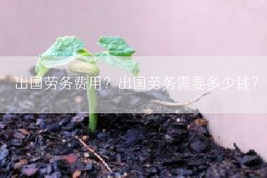 出国劳务费用？出国劳务需要多少钱？