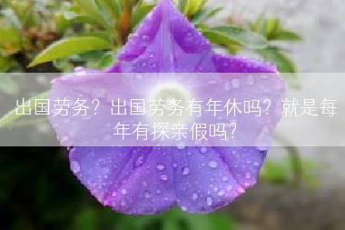 出国劳务？出国劳务有年休吗？就是每年有探亲假吗？
