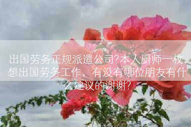 出国劳务正规派遣公司?本人厨师一枚，想出国劳务工作，有没有哪位朋友有什么建议的谢谢?