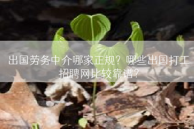 出国劳务中介哪家正规？哪些出国打工招聘网比较靠谱？