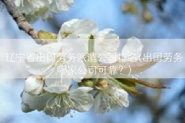 辽宁省出国劳务派遣公司排名(出国劳务哪家公司可靠？)