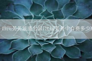 四川劳务派遣出国(出国劳务中介费多少)