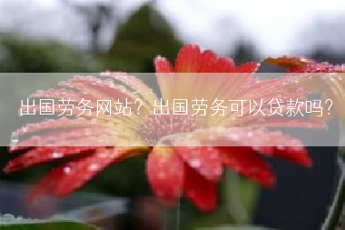 出国劳务网站？出国劳务可以贷款吗？