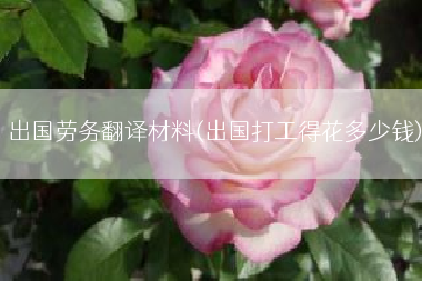 出国劳务翻译材料(出国打工得花多少钱)