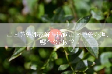 出国劳务哪家好？请问出国劳务办理，哪个公司好？