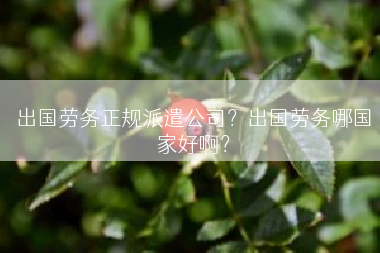 出国劳务正规派遣公司？出国劳务哪国家好啊？