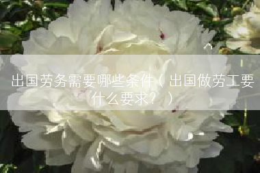 出国劳务需要哪些条件（出国做劳工要什么要求？）