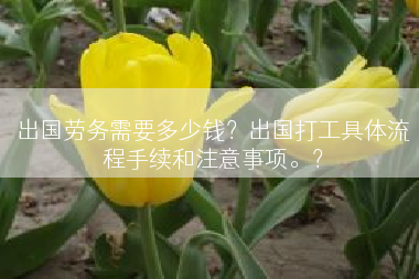 出国劳务需要多少钱？出国打工具体流程手续和注意事项。？