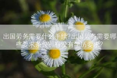 出国劳务需要什么手续?出国劳务需要哪些要求条件？有没有学历要求?