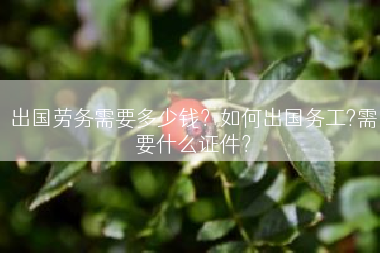 出国劳务需要多少钱？如何出国务工?需要什么证件？
