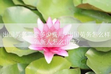 出国劳务需要多少费用?出国劳务怎么样？新人怎么出去?